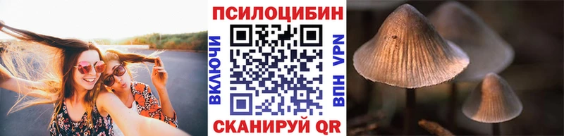 Галлюциногенные грибы мицелий  гидра сайт  мориарти клад  Дегтярск 