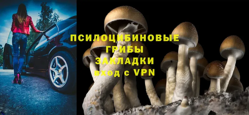 Псилоцибиновые грибы MAGIC MUSHROOMS  что такое   Дегтярск 