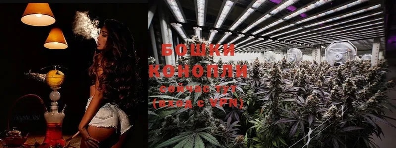 Марихуана SATIVA & INDICA  Дегтярск 